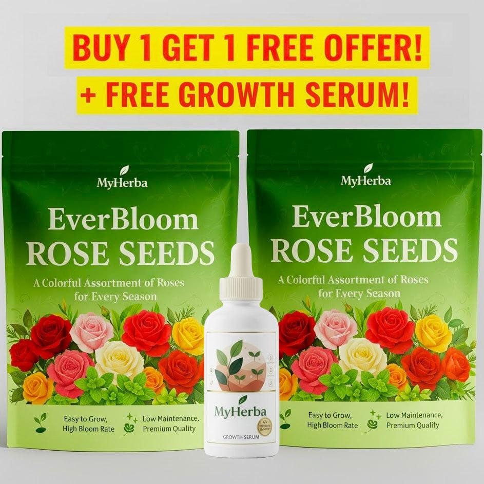 EverBloom Climbing Roses