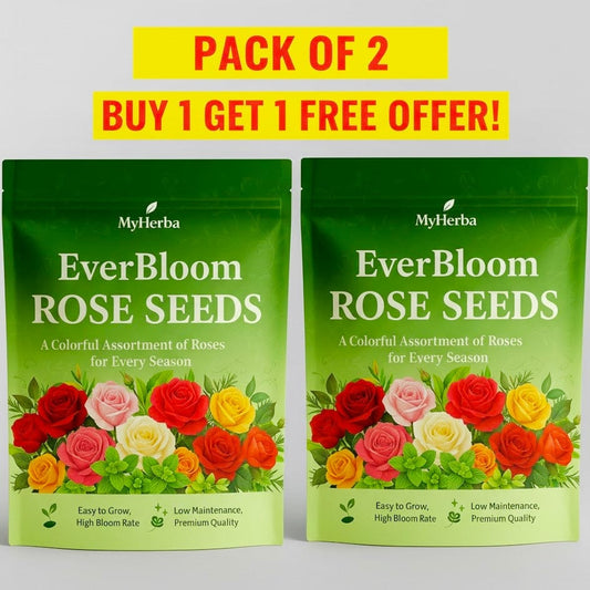 EverBloom Rose Seeds – Grows Anywhere, Anytime